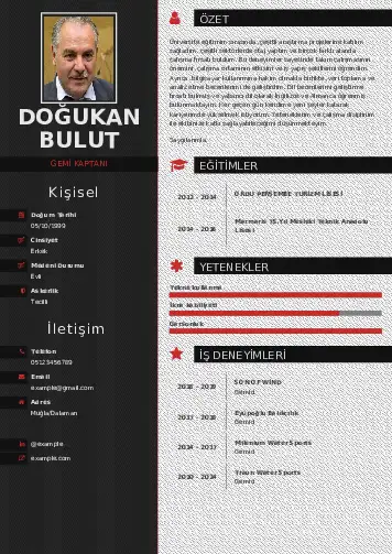 Gemi Kaptanı CV Örnekleri cv indir